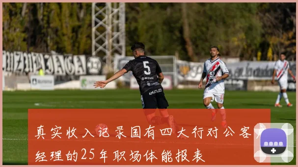 真实收入记录国有四大行对公客户经理的25年职场体能报表