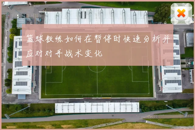 篮球教练如何在暂停时快速分析并应对对手战术变化